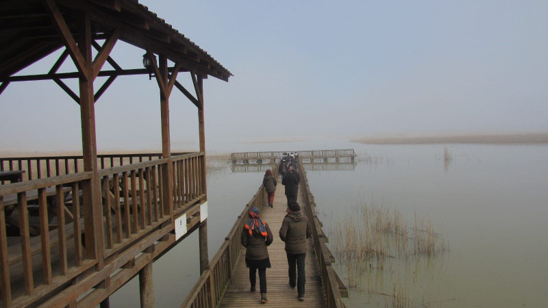 Öğrenciler Efteni Gölünde kuşları gözlemledi