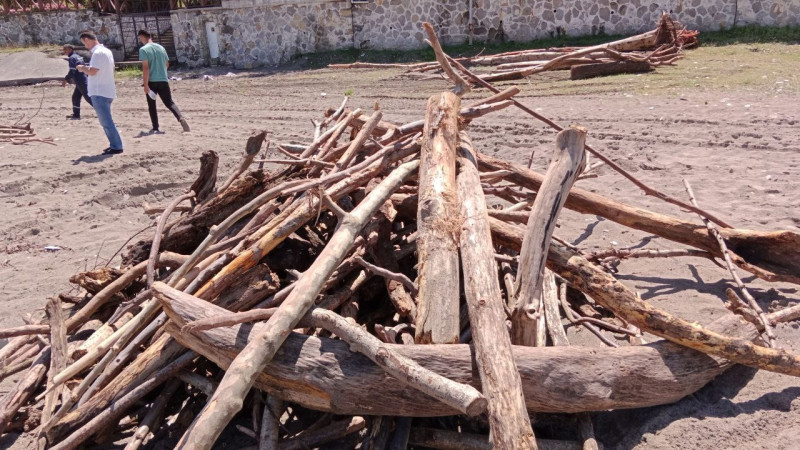 Akçakoca'da odunlar sahili doldurdu