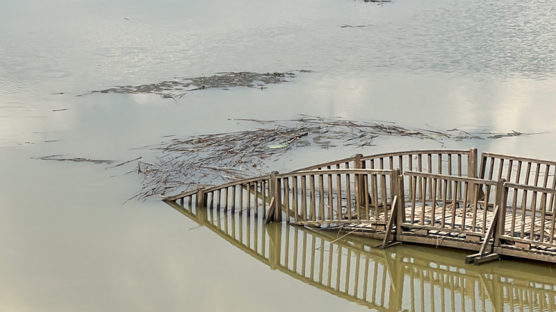 Efteni Gölü'nde hasarın boyutu ortaya çıktı