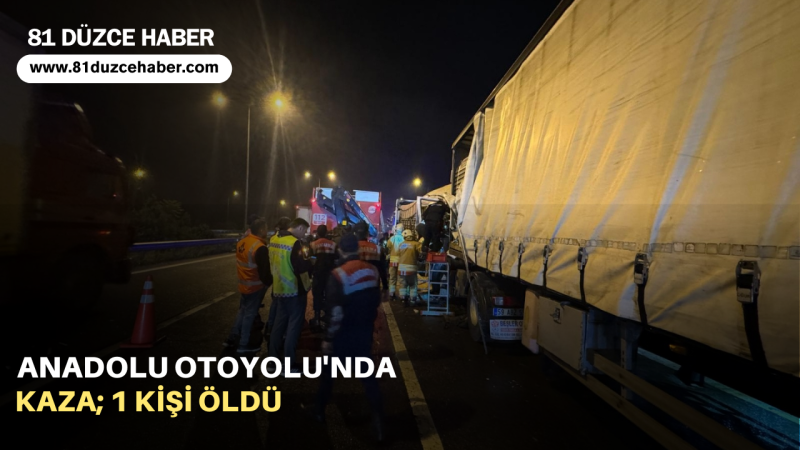 Anadolu Otoyolu'nda Kaza; 1 Kişi Öldü