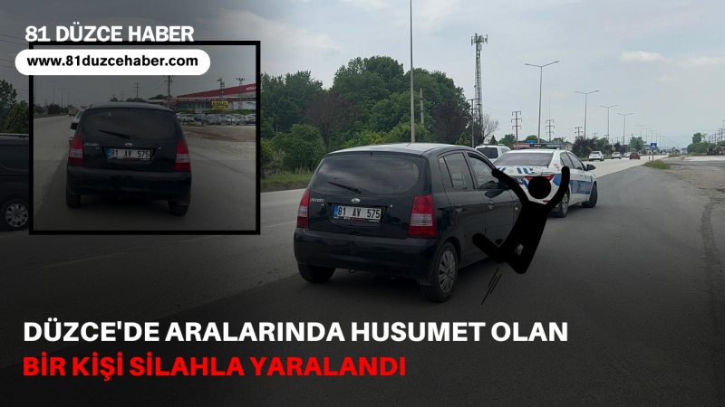 Düzce'de Bir Kişi Hareket Halindeki Araçtan Atladı Ağır Yaralandı