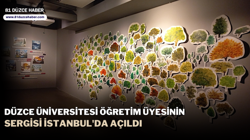 Düzce Üniversitesi Öğretim Üyesinin Sergisi İstanbul'da Açıldı