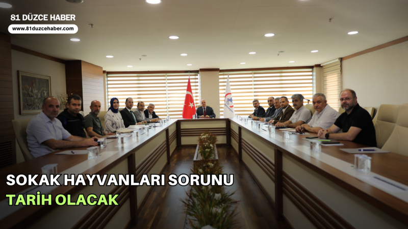 SOKAK HAYVANLARI SORUNU TARİH OLACAK