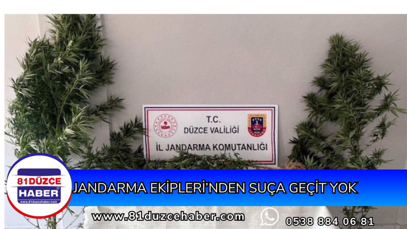 Jandarma Ekipleri’nden Suça Geçit Yok