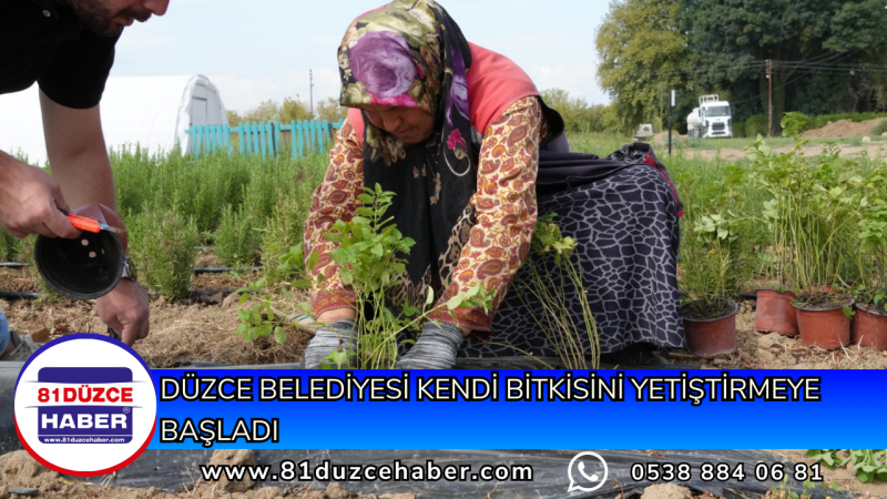 DÜZCE BELEDİYESİ KENDİ BİTKİSİNİ YETİŞTİRMEYE BAŞLADI