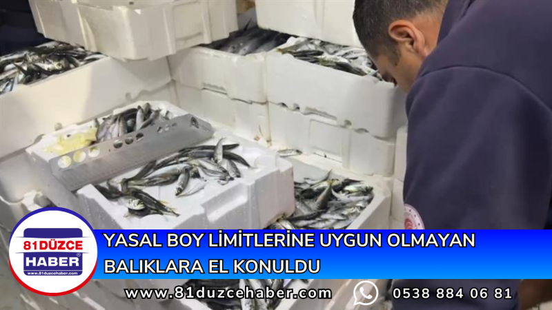 YASAL BOY LİMİTLERİNE UYGUN OLMAYAN BALIKLARA EL KONULDU