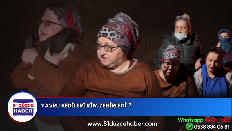 YAVRU KEDİLERİ KİM ZEHİRLEDİ ?