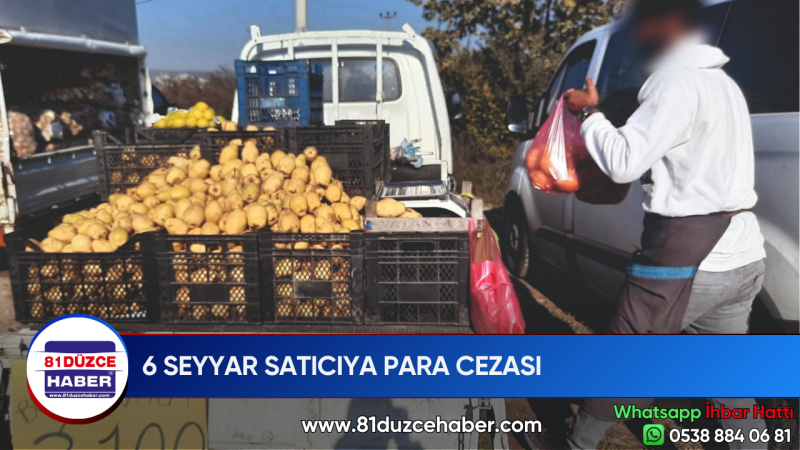 6 SEYYAR SATICIYA PARA CEZASI