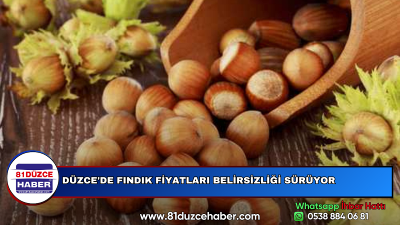 DÜZCE'DE FINDIK FİYATLARI BELİRSİZLİĞİ SÜRÜYOR