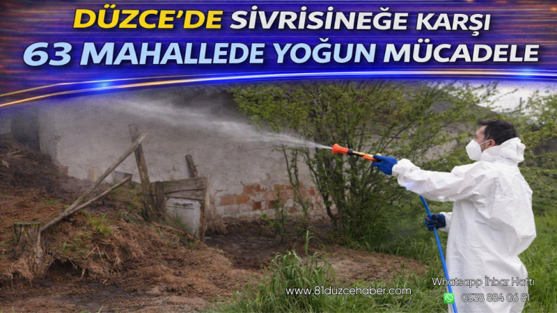 Düzce’de Sivrisineğe Karşı 63 Mahallede Yoğun Mücadele