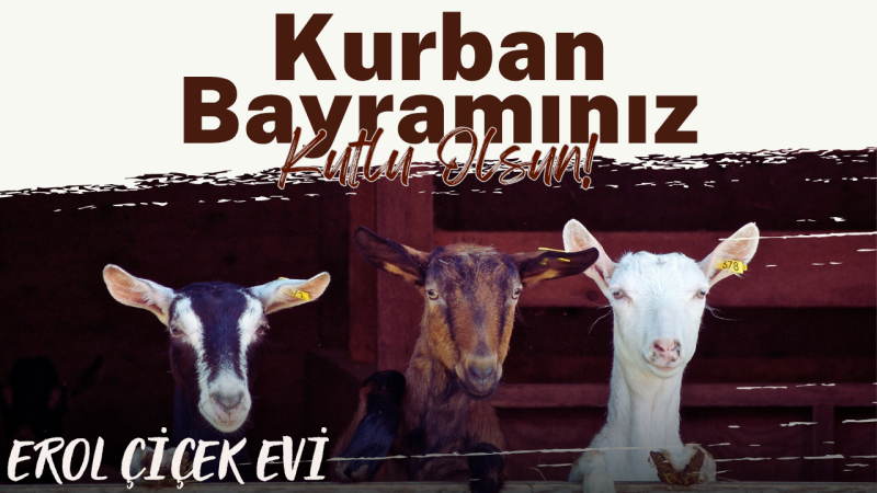 EROL ÇİÇEK EVİ KURBAN BAYRAMI REKLAM MESAJI 