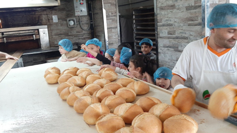 Minik öğrenciler ekmeğin yapılışını öğrendiler