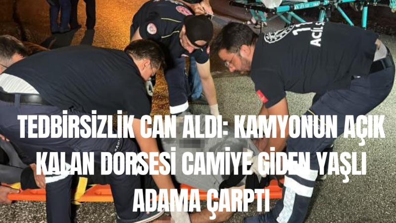 insan ile hayvan ilişkileri free porn proxy