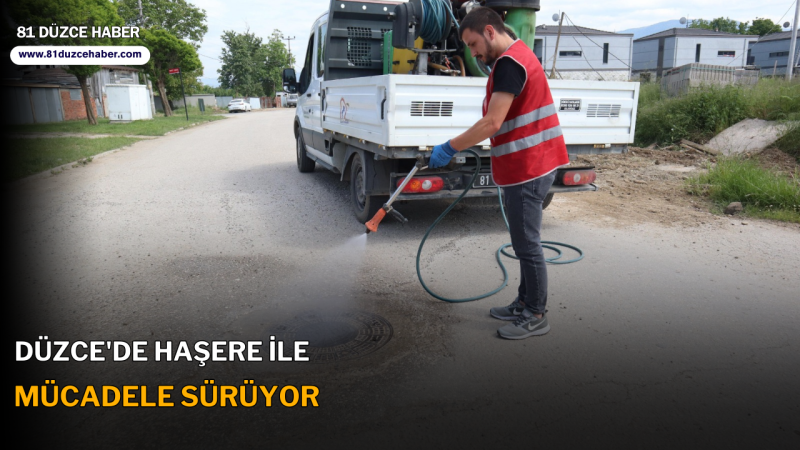 DÜZCE'DE HAŞERE İLE MÜCADELE SÜRÜYOR