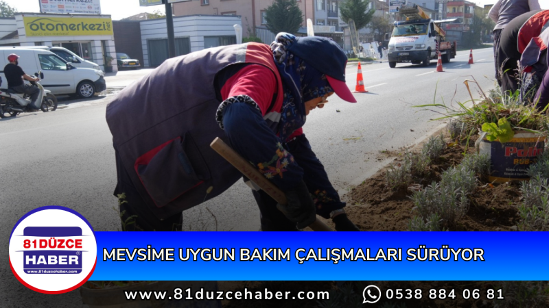 MEVSİME UYGUN BAKIM ÇALIŞMALARI SÜRÜYOR