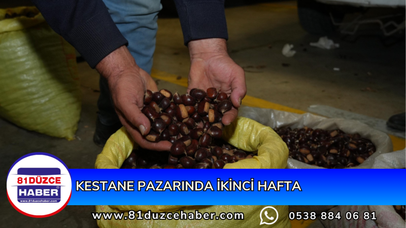 KESTANE PAZARINDA İKİNCİ HAFTA