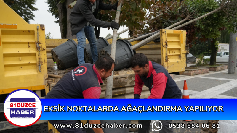 EKSİK NOKTALARDA AĞAÇLANDIRMA YAPILIYOR