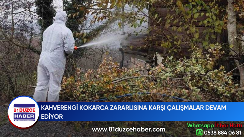 KAHVERENGİ KOKARCA ZARARLISINA KARŞI ÇALIŞMALAR DEVAM EDİYOR