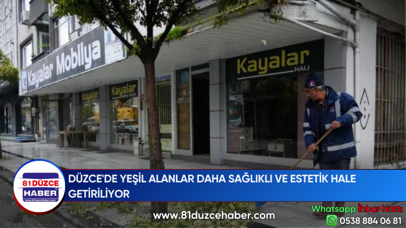 DÜZCE'DE YEŞİL ALANLAR DAHA SAĞLIKLI VE ESTETİK HALE GETİRİLİYOR