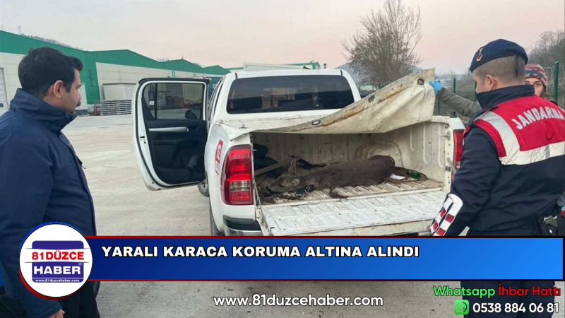 YARALI KARACA KORUMA ALTINA ALINDI