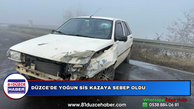 DÜZCE'DE YOĞUN SİS KAZAYA SEBEP OLDU