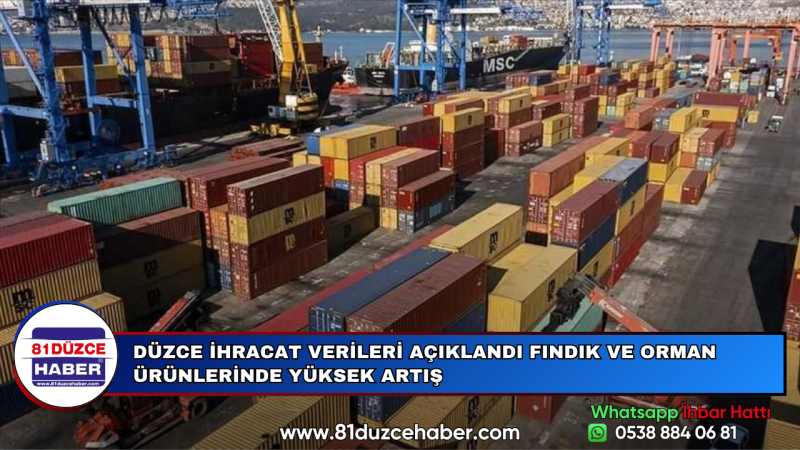 DÜZCE İHRACAT VERİLERİ AÇIKLANDI FINDIK VE ORMAN ÜRÜNLERİNDE YÜKSEK ARTIŞ