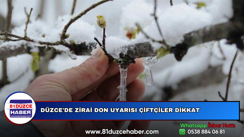 DÜZCE'DE ZİRAİ DON UYARISI ÇİFTÇİLER DİKKAT