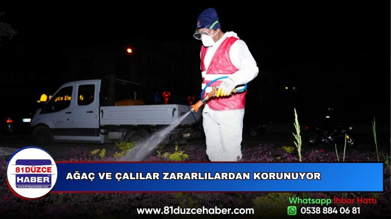 AĞAÇ VE ÇALILAR ZARARLILARDAN KORUNUYOR