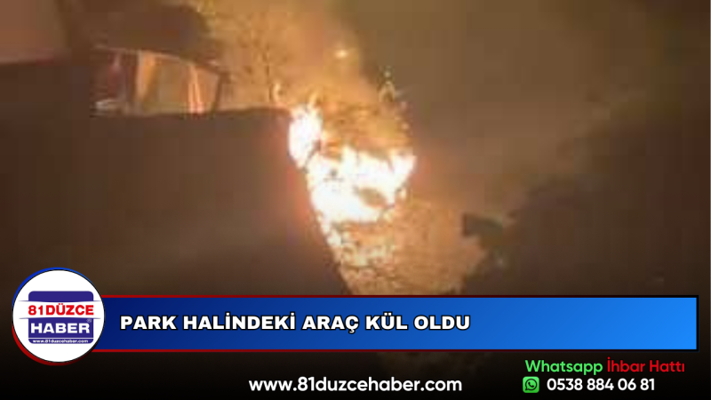 PARK HALİNDEKİ ARAÇ KÜL OLDU