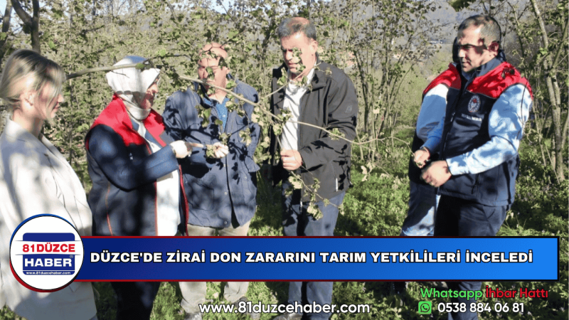 DÜZCE'DE ZİRAİ DON ZARARINI TARIM YETKİLİLERİ İNCELEDİ