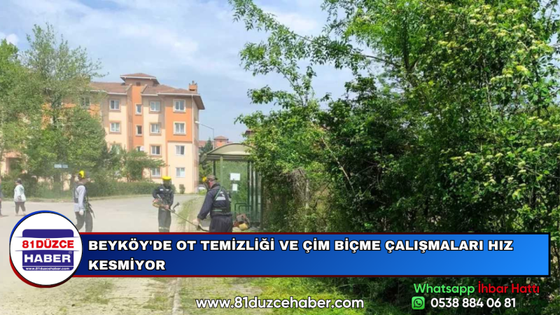 BEYKÖY'DE OT TEMİZLİĞİ VE ÇİM BİÇME ÇALIŞMALARI HIZ KESMİYOR