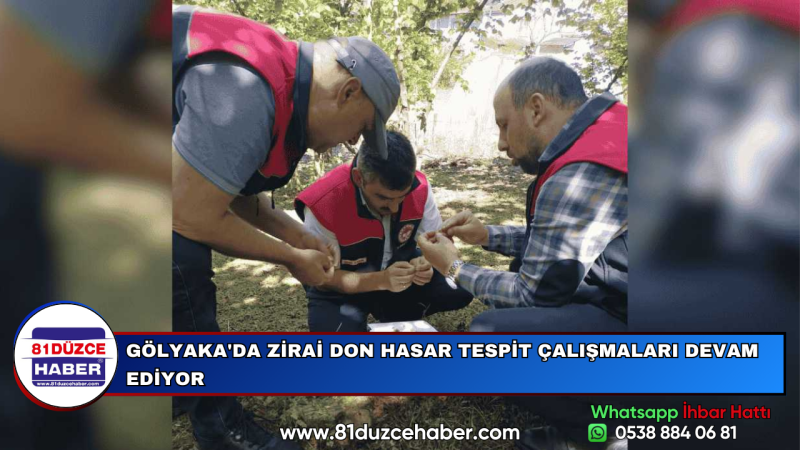 GÖLYAKA'DA ZİRAİ DON HASAR TESPİT ÇALIŞMALARI DEVAM EDİYOR