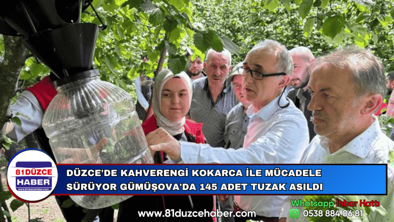 DÜZCE'DE KAHVERENGİ KOKARCA İLE MÜCADELE SÜRÜYOR GÜMÜŞOVA'DA 145 ADET TUZAK ASILDI