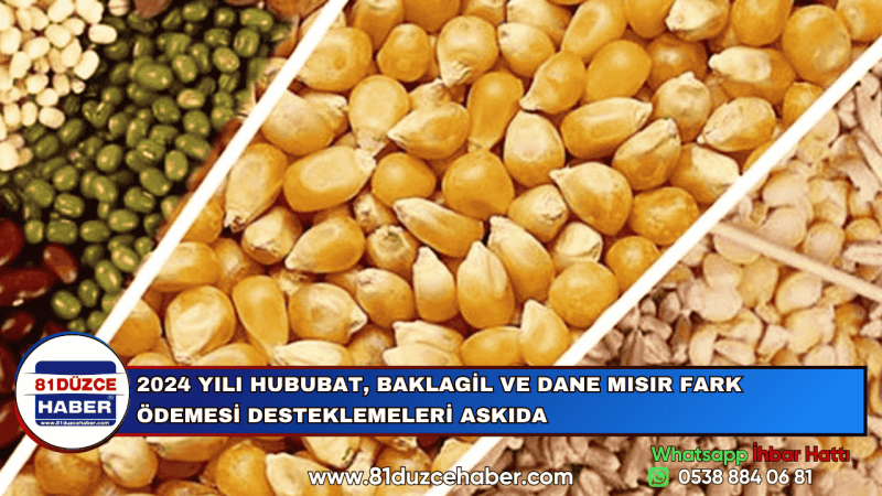 2024 YILI HUBUBAT, BAKLAGİL VE DANE MISIR FARK ÖDEMESİ DESTEKLEMELERİ ASKIDA