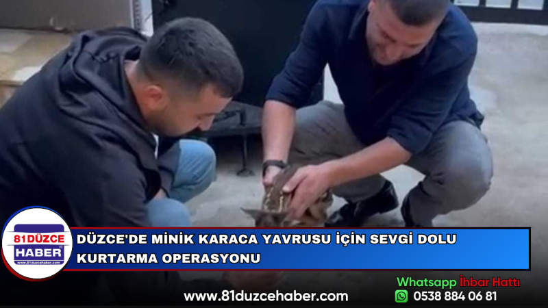DÜZCE'DE MİNİK KARACA YAVRUSU İÇİN SEVGİ DOLU KURTARMA OPERASYONU