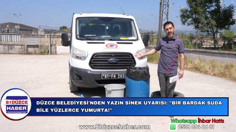 Düzce Belediyesi'nden Yazın Sinek Uyarısı: 