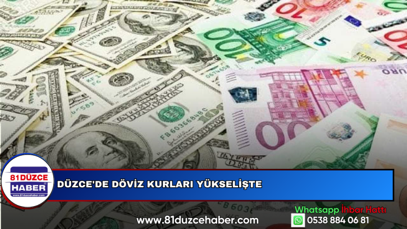 Düzce'de Döviz Kurları Yükselişte