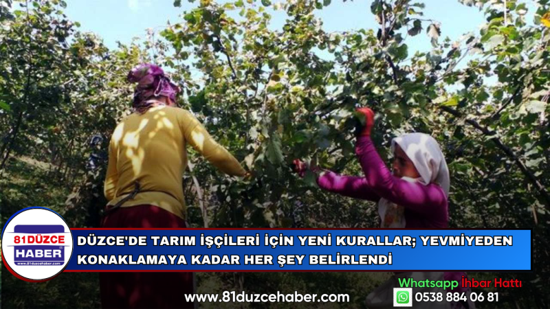 Düzce'de Tarım İşçileri İçin Yeni Kurallar; Yevmiyeden Konaklamaya Kadar Her Şey Belirlendi