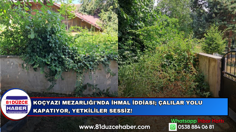 Koçyazı Mezarlığı'nda İhmal İddiası; Çalılar Yolu Kapatıyor, Yetkililer Sessiz!