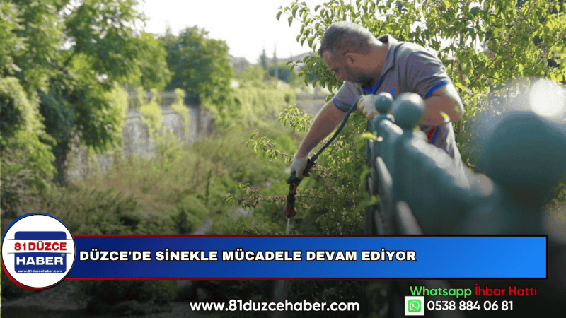Düzce'de Sinekle Mücadele Devam Ediyor