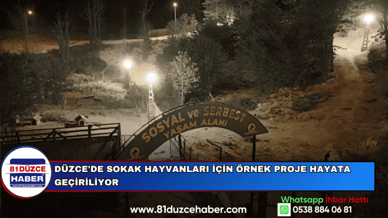 DÜZCE'DE SOKAK HAYVANLARI İÇİN ÖRNEK PROJE HAYATA GEÇİRİLİYOR