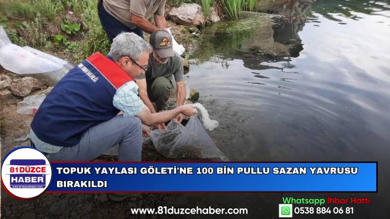 Topuk Yaylası Göleti'ne 100 Bin Pullu Sazan Yavrusu Bırakıldı