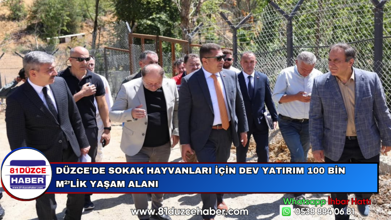 Düzce'de Sokak Hayvanları İçin Dev Yatırım 100 Bin m²'lik Yaşam Alanı
