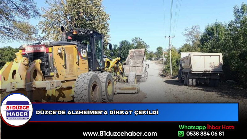 Yeşilyayla Köyü'nde Asfalt Çalışmaları Tamamlandı