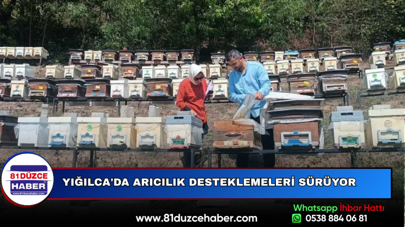 Yığılca'da Arıcılık Desteklemeleri Sürüyor