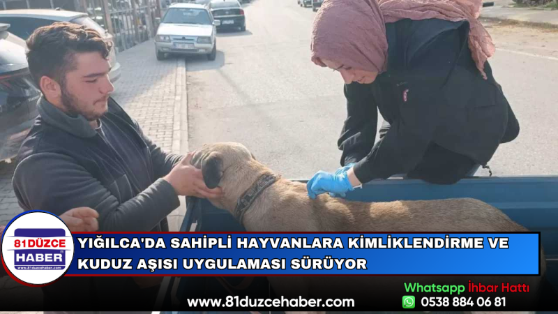 Yığılca'da Sahipli Hayvanlara Kimliklendirme ve Kuduz Aşısı Uygulaması Sürüyor