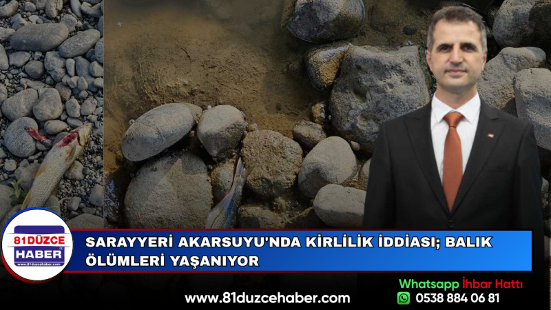 Sarayyeri Akarsuyu'nda Kirlilik İddiası; Balık Ölümleri Yaşanıyor