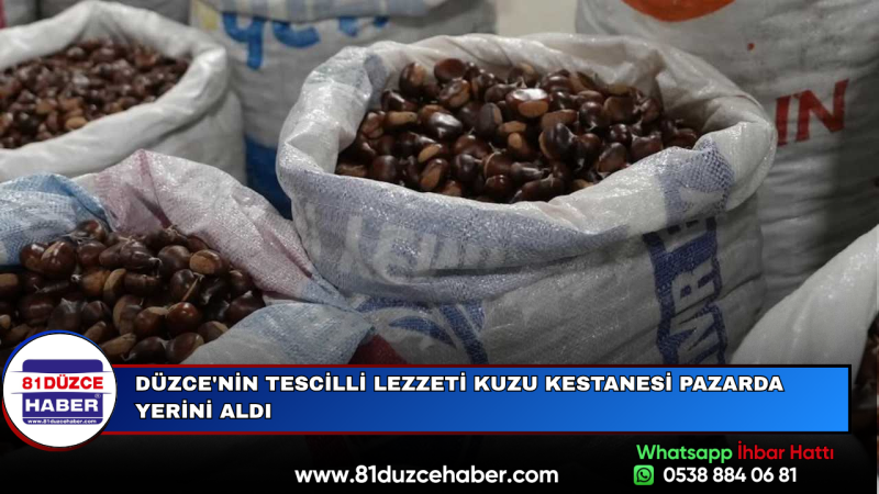 Düzce'nin Tescilli Lezzeti Kuzu Kestanesi Pazarda Yerini Aldı
