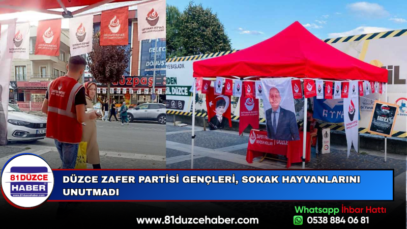 Düzce Zafer Partisi Gençleri, Sokak Hayvanlarını Unutmadı