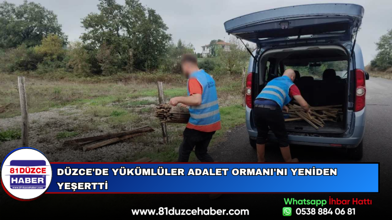 Düzce'de Yükümlüler Adalet Ormanı'nı Yeniden Yeşertti